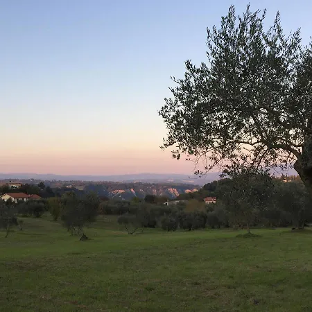 Podere Campo Del Piano