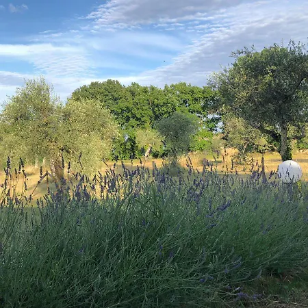 Villa Podere Campo Del Piano